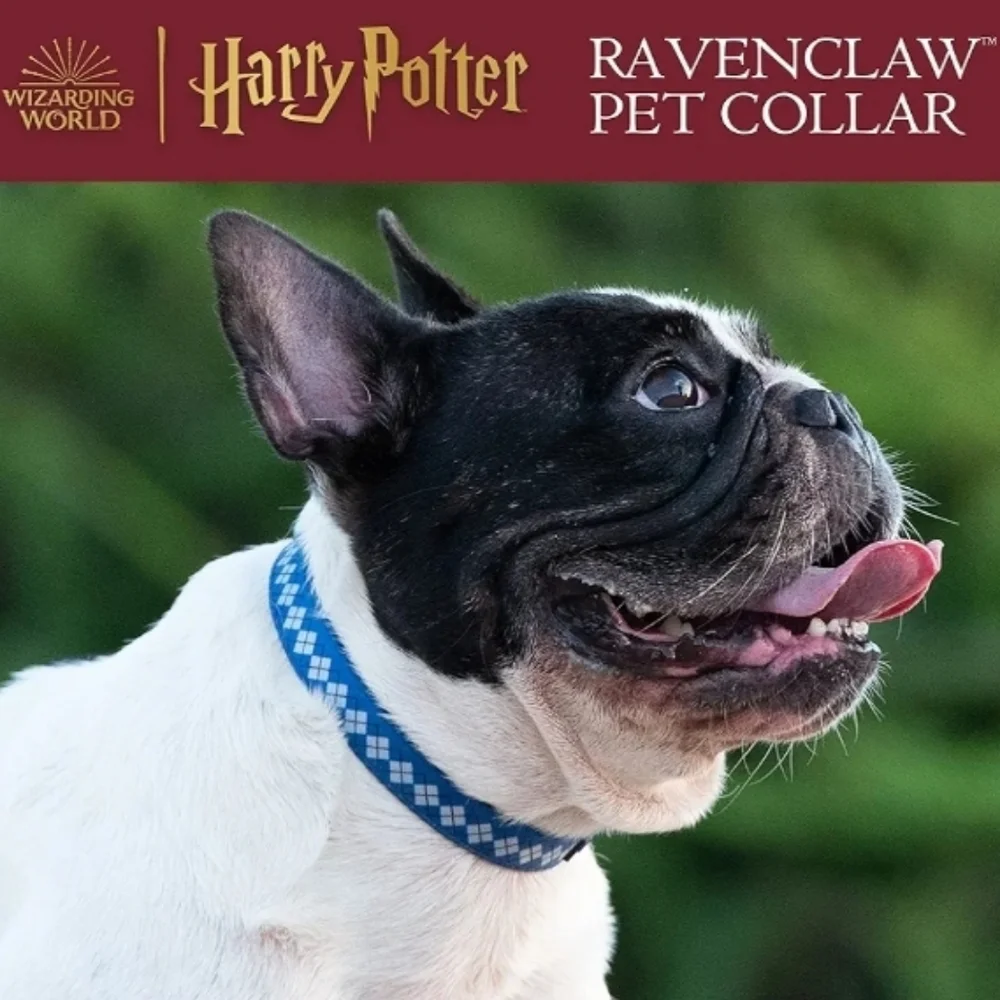 Harry Potter NWT Blue Ravenclaw Argyle/Lattice Dog Collar Size Small 10-14in 🐈